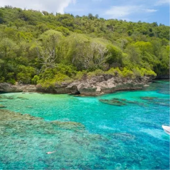 IEC serve with purpose