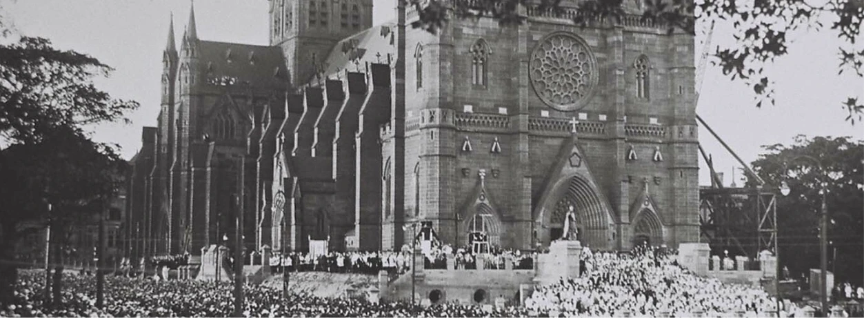 overview banner image