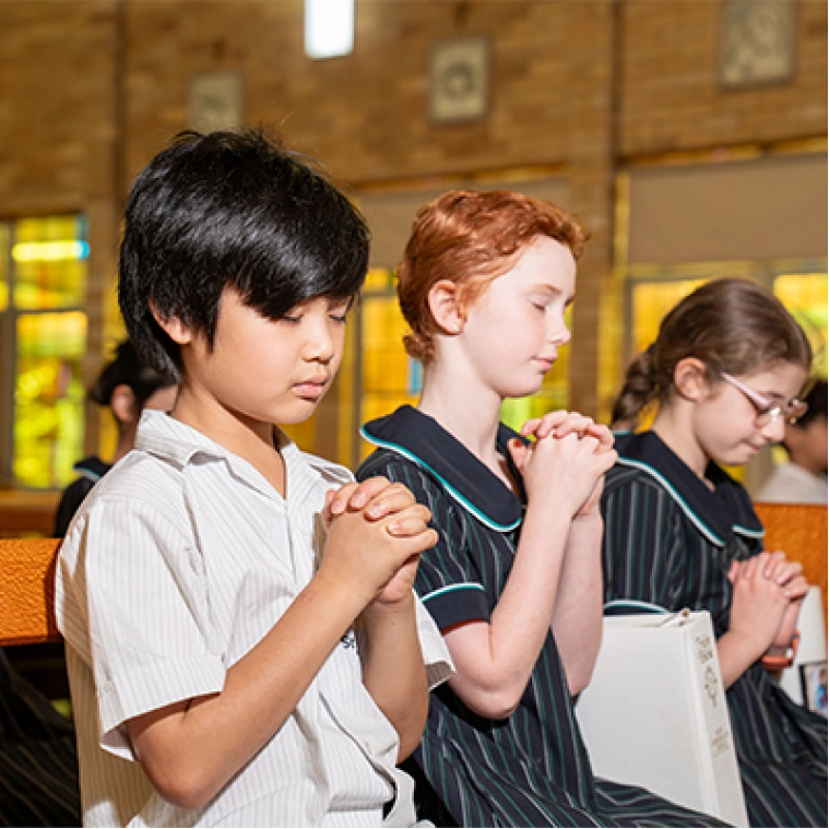 IEC serve with purpose