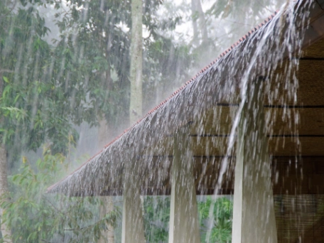 Heavy Rains on the Central Coast