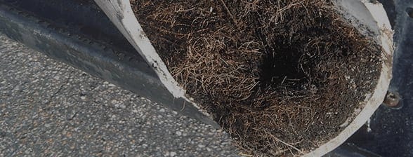 Blocked drain