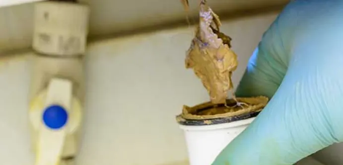 Blocked drain with material