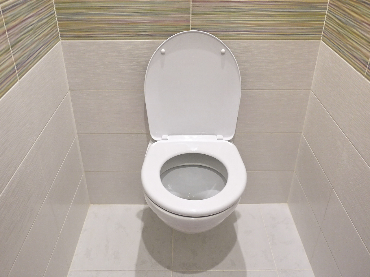 Wall Toilet